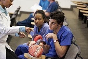 Cardiovascular Technology and Sonography Education Programs