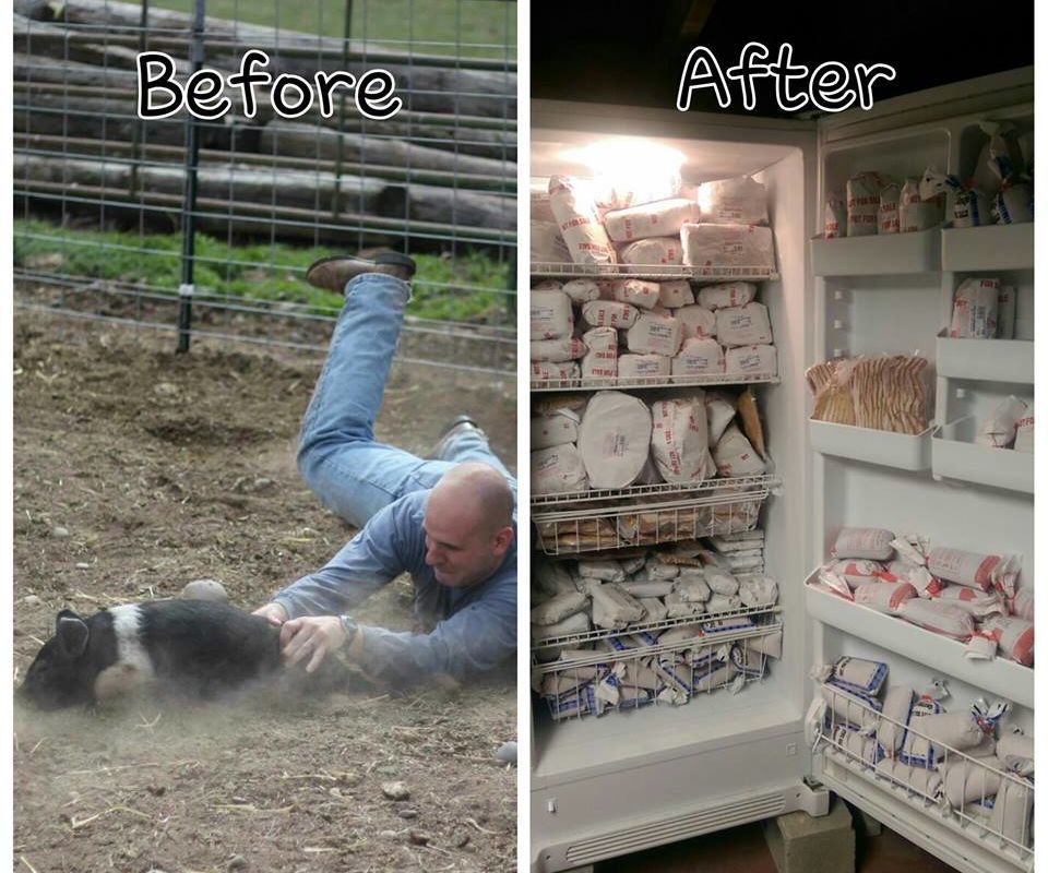 Raising Bacon - Before and After