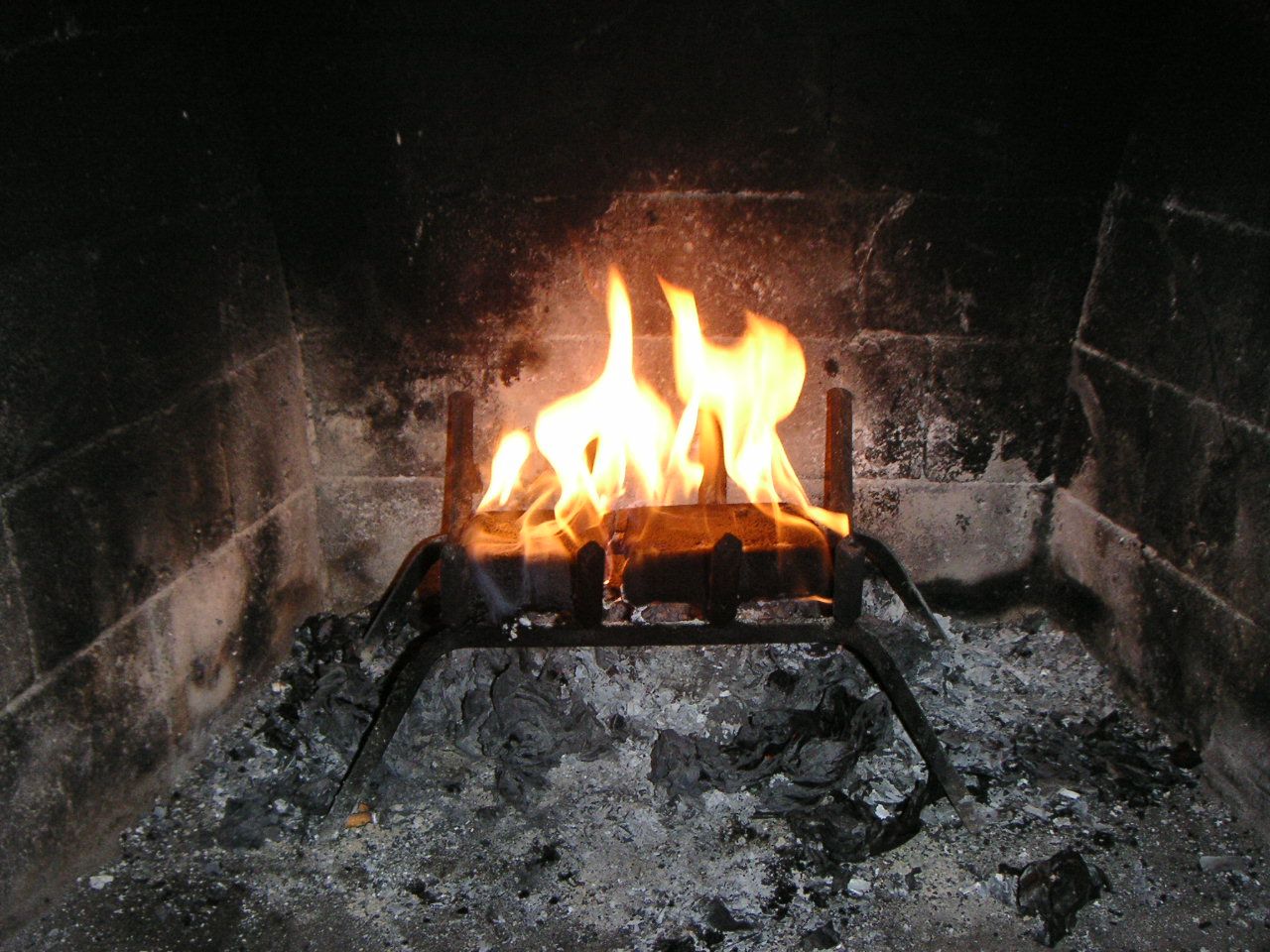 How to Make a Coffee Fire Log