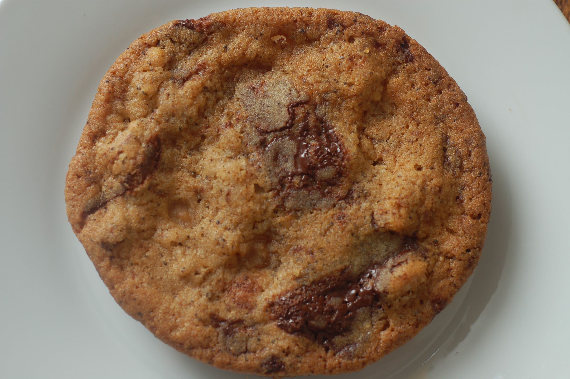 Coffee, Chocolate, Fudge and Walnut Cookies