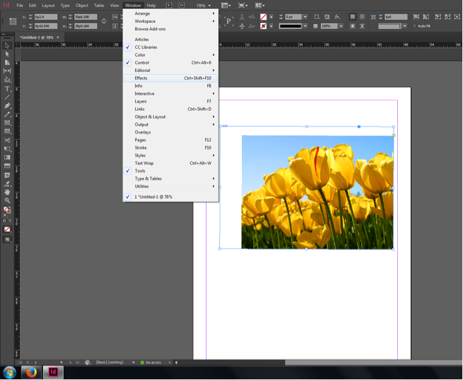 Adding Effects to an Image in InDesign : 8 Steps - Instructables