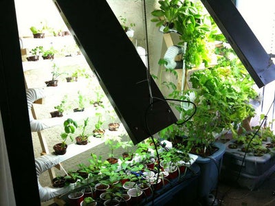 Ultimate Vertical Hydroponic Farm on the Cheap.. Gift Away Green Crops!