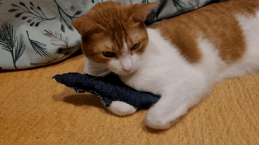Enhanced Catnip Crinkle Fish Cat Toy – Simple to Make for Free or Really Cheap! Made From Old Blue Jeans Denim and Common Household Items.