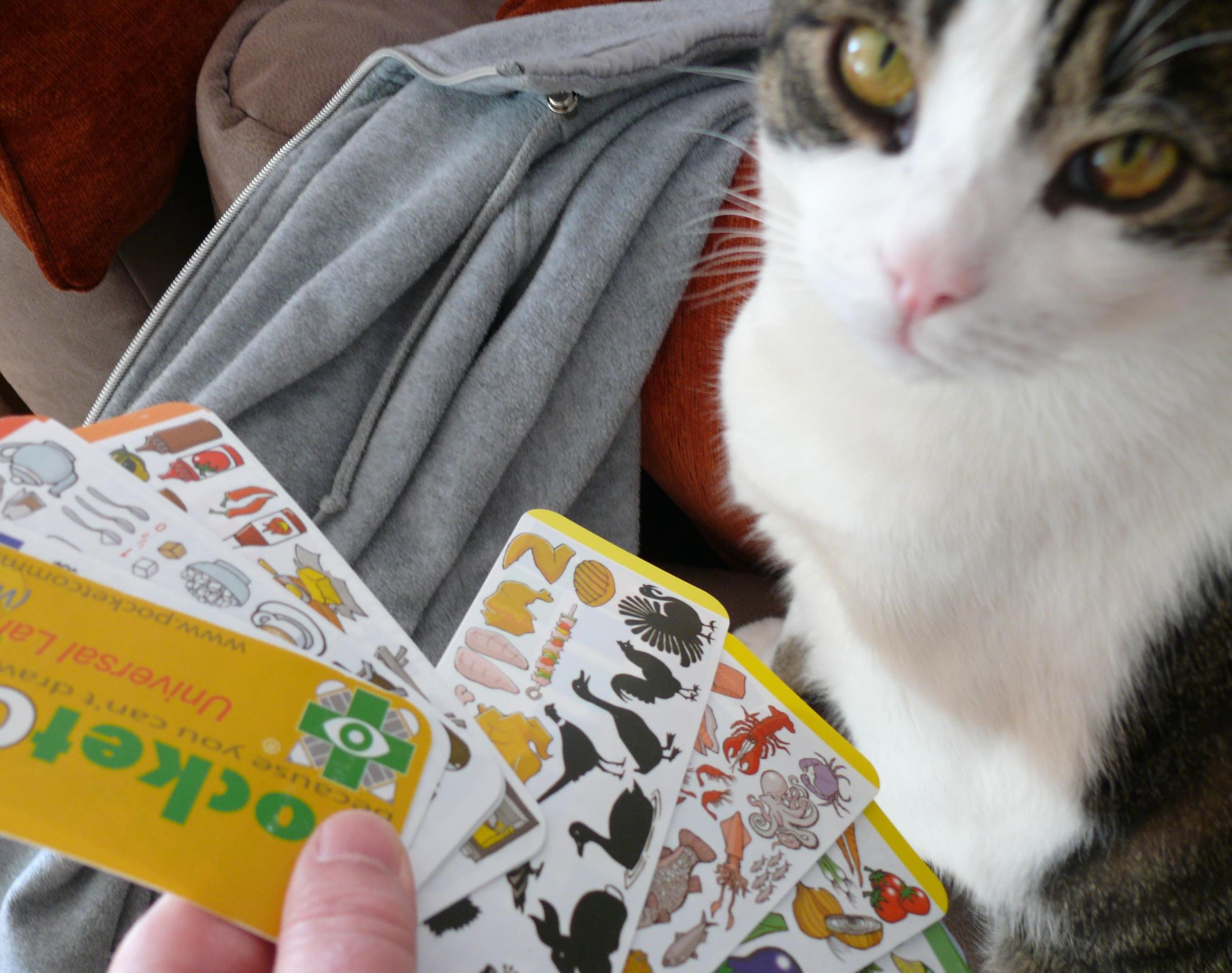 KISS Principle Pointee Talkee