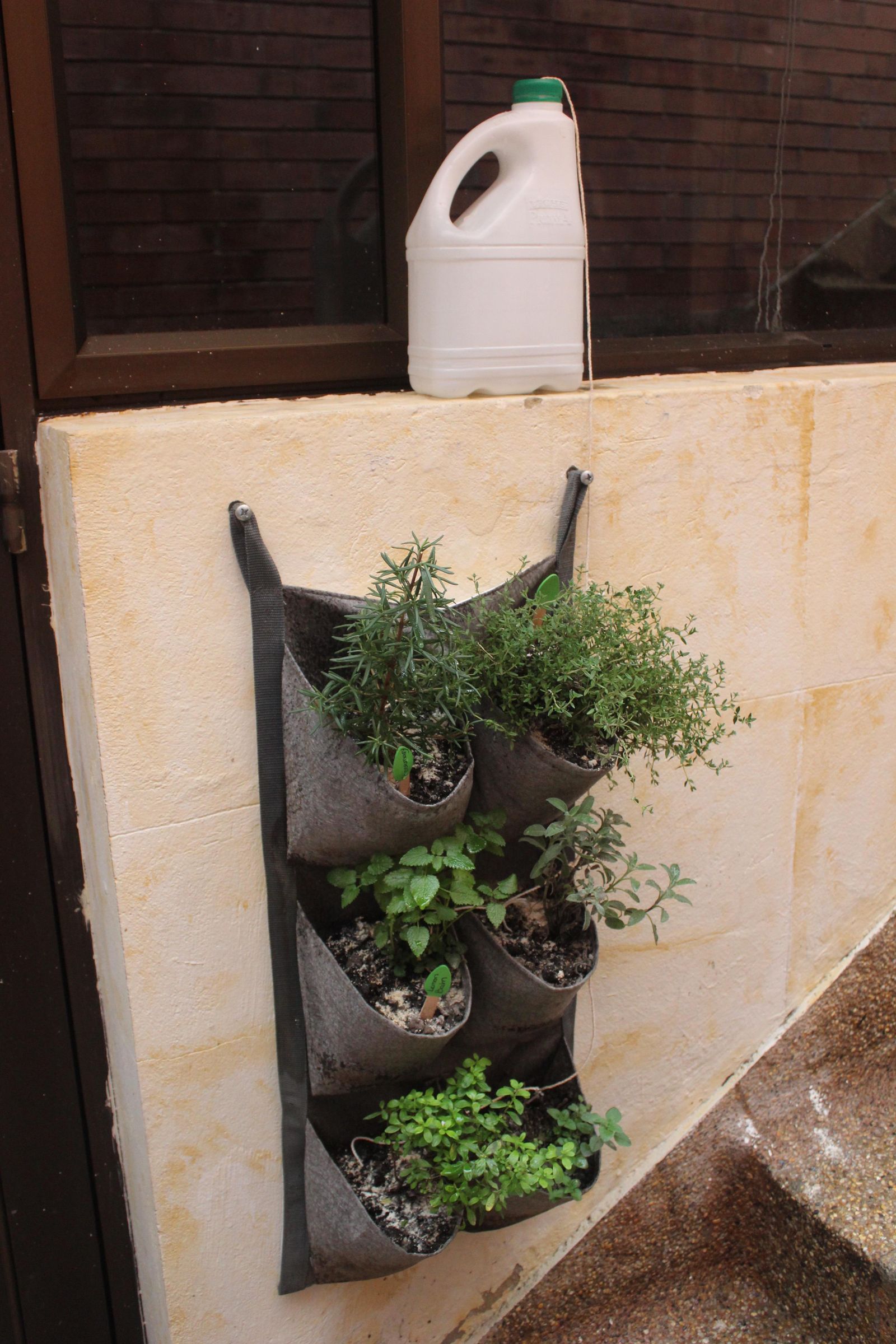 Wick Watering System 3 Steps (with Pictures) Instructables