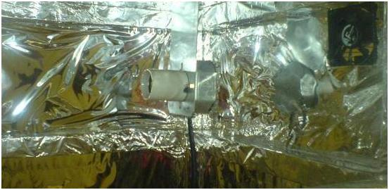 how to make a grow box