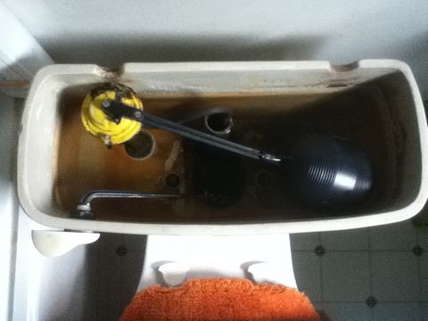 Access Your Toilet's Flapper Valve With Less Negative Emotion