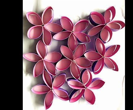 Flowers Out of Toilet Rolls