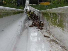Tsunami Model : 5 Steps (with Pictures) - Instructables