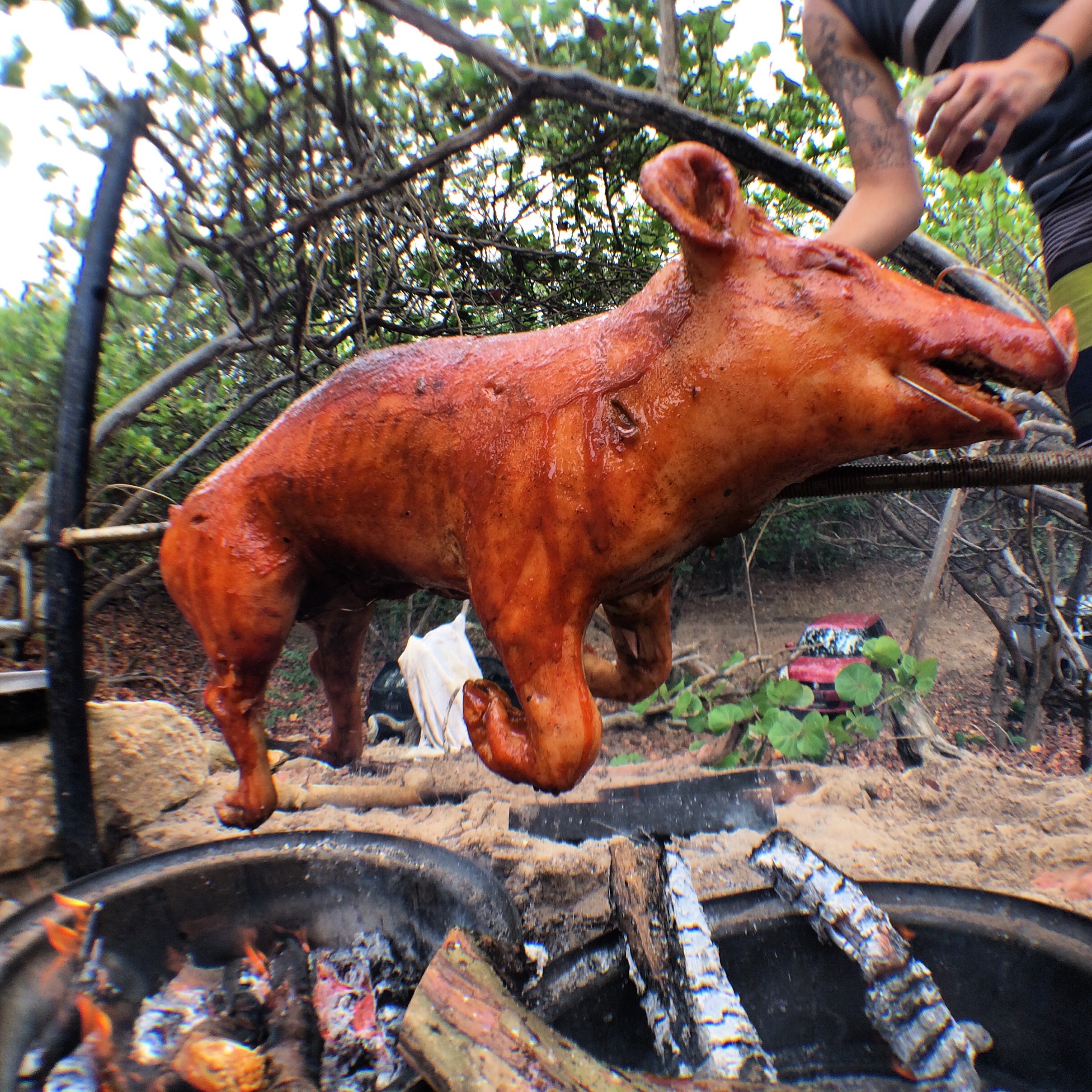 How to Roast a Pig in "The Wild" 6 Steps Instructables