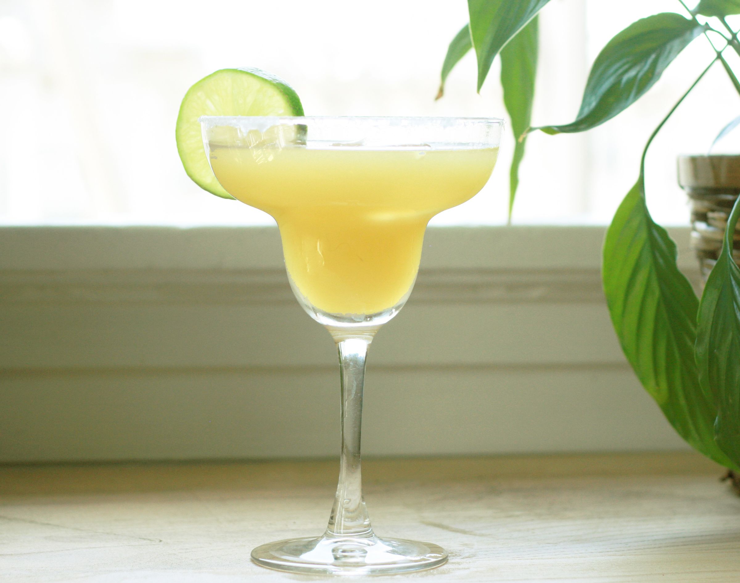 Sugar-Free Margarita