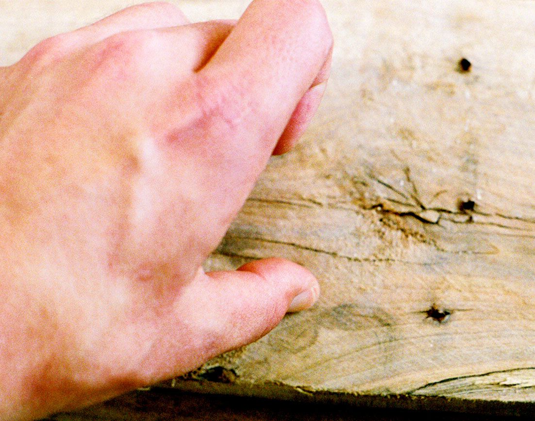 Hard Wood or Soft Wood?