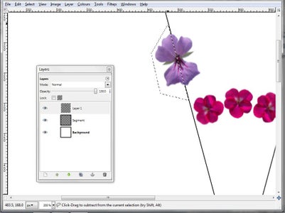 First Layer of the Segment