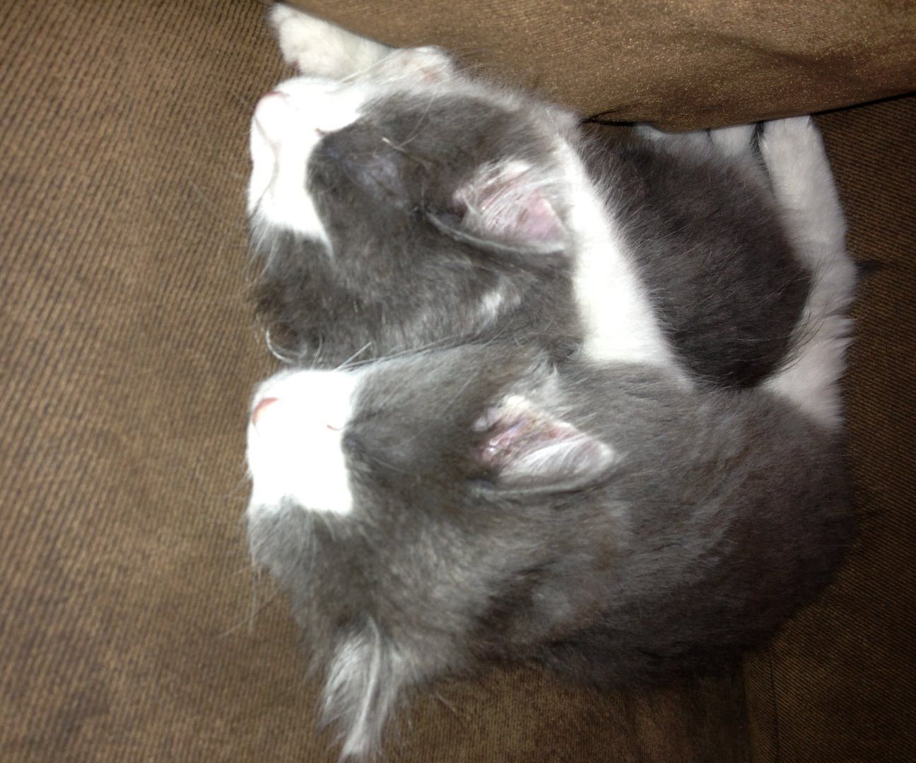 How to Start Your Own Story