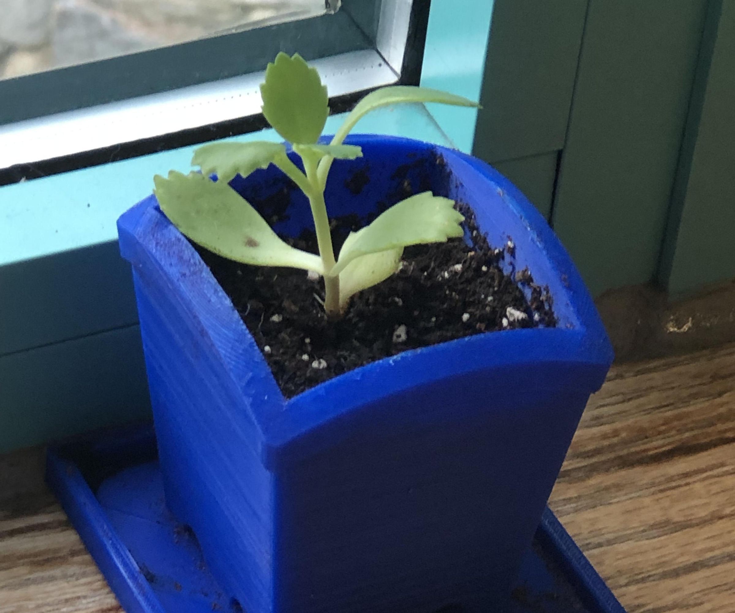 3D Printed Planter