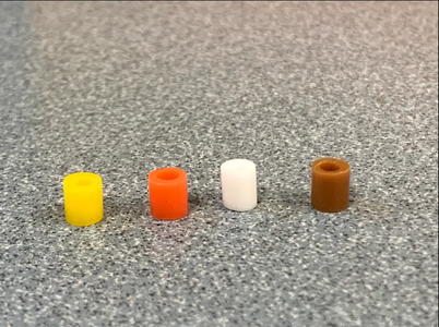 In the Beginning...🌱