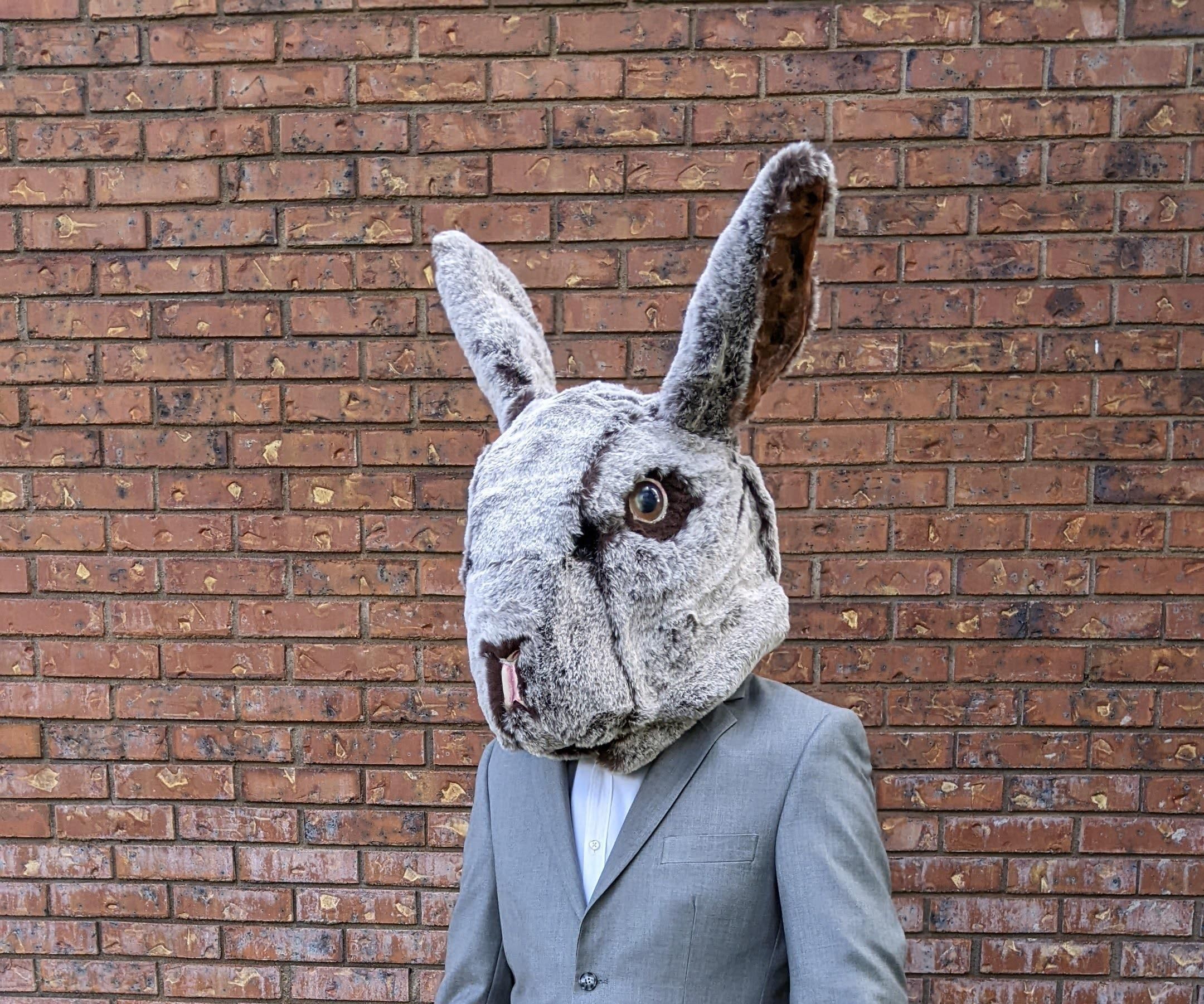 Realistic Bunny Head Costume
