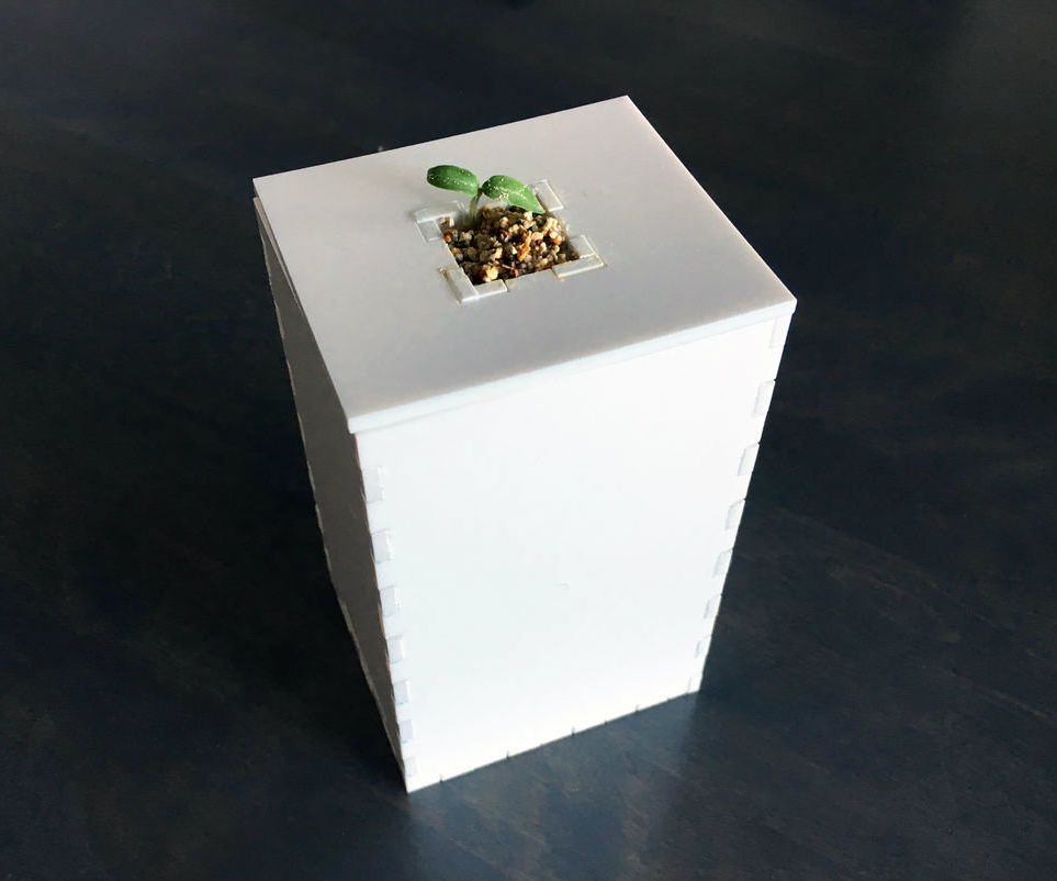 How to Lasercut a Simple Hydroponic Vase for Growing Tomatoes! 