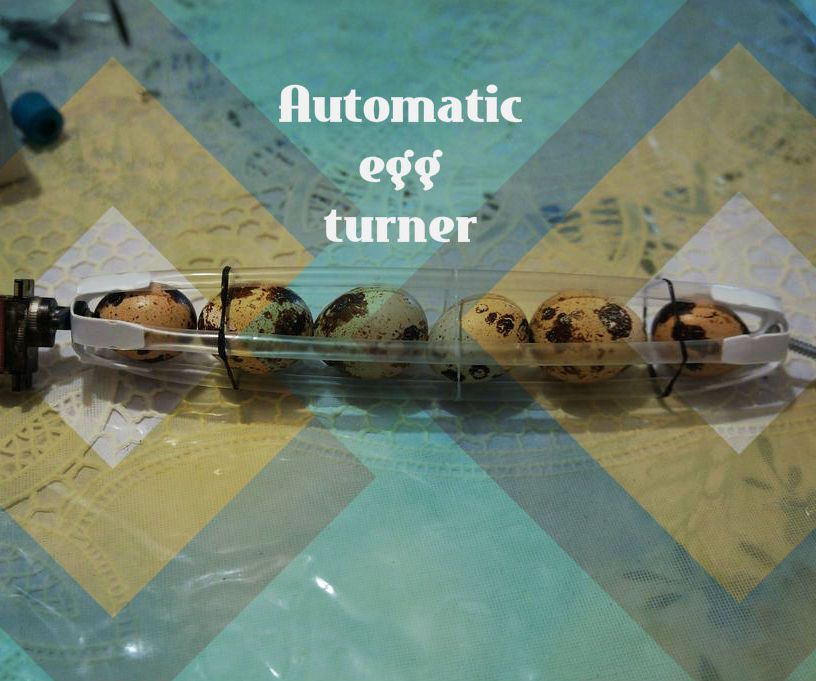 Automatic Egg Turner (Strawbees)