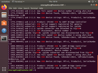 Installation of Esptool, Access GIT Repo, and Test Build.