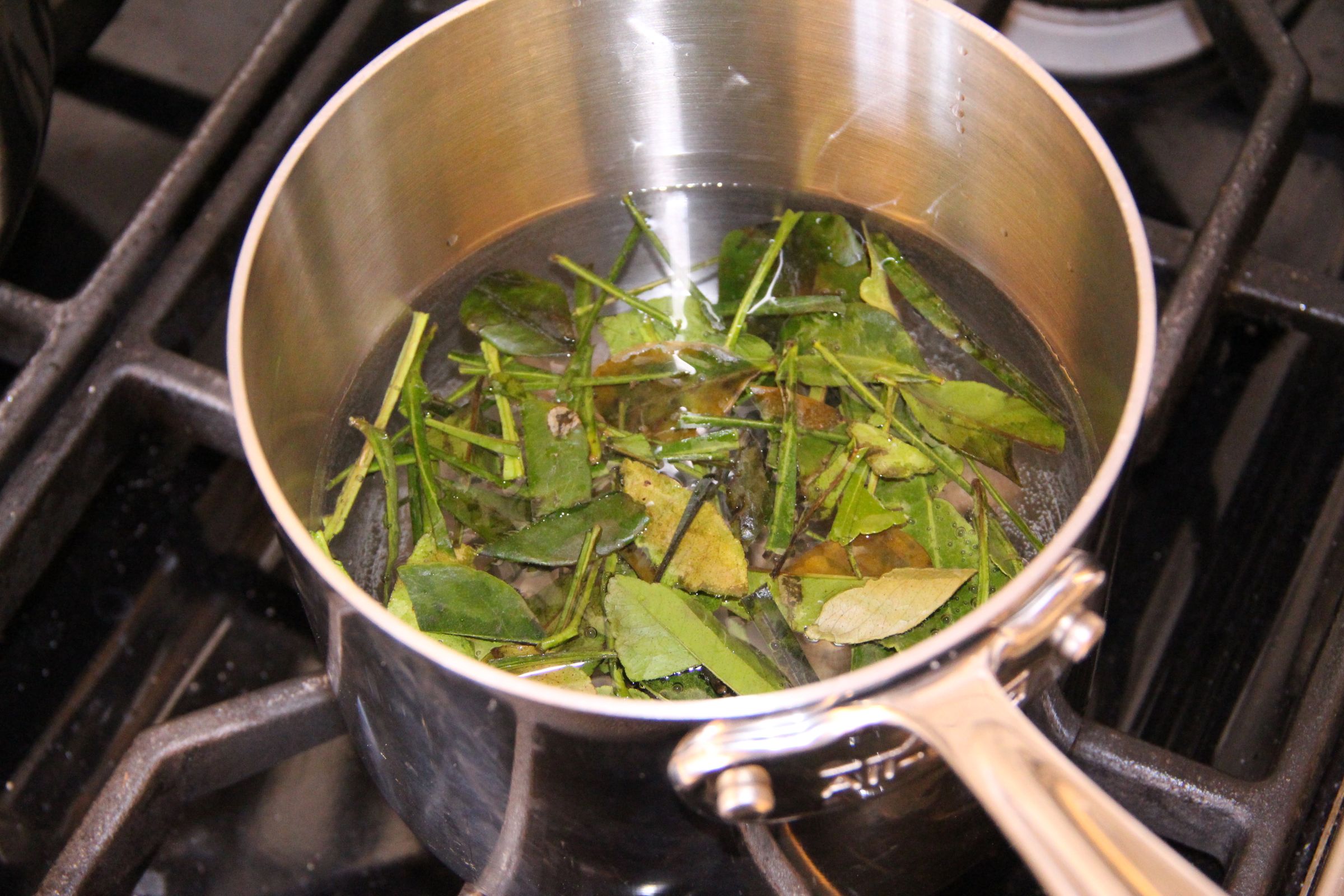 Insects for FoodPrep. 101 11 Steps (with Pictures) Instructables