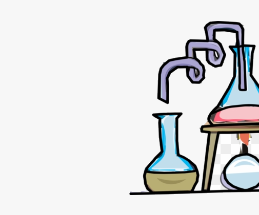 Effectiveness of Garlic in Fighting Bacteria Experiment