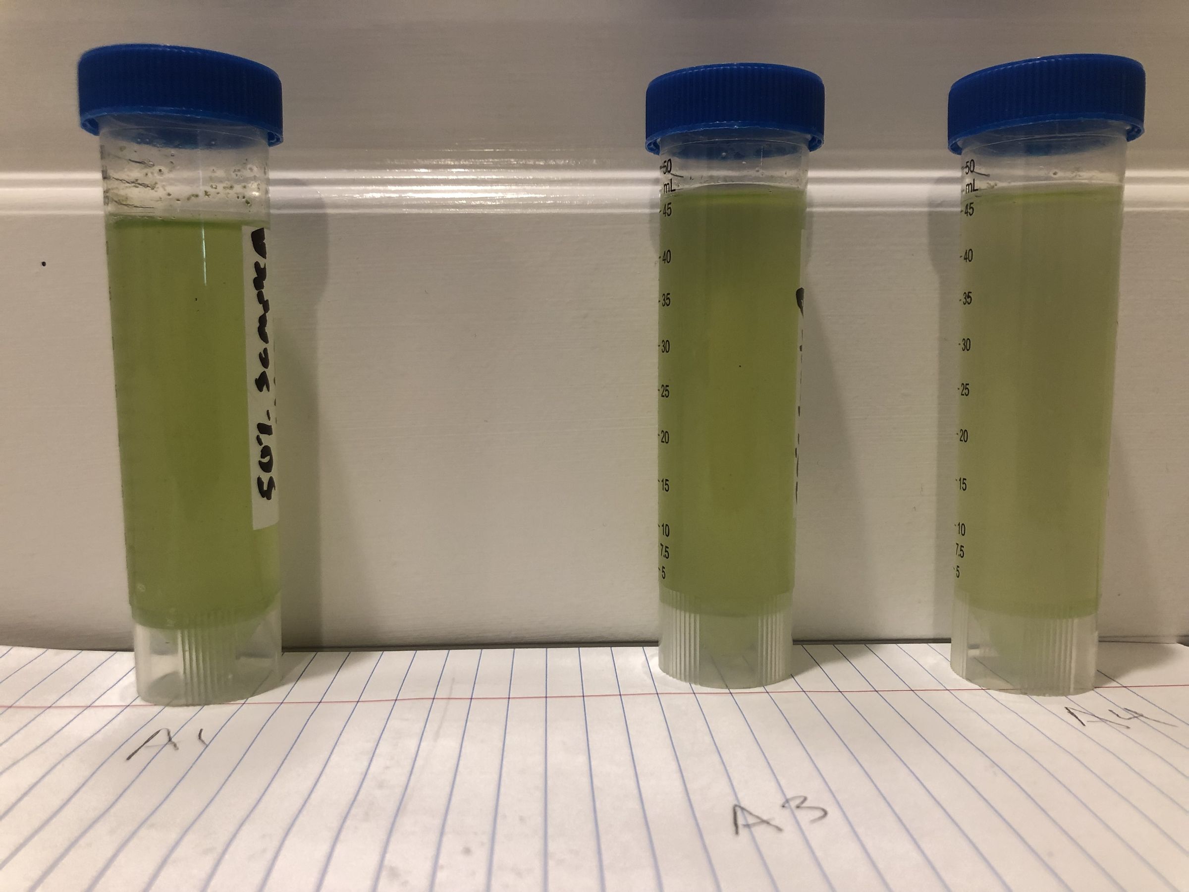 Homemade Jenga Block Spectrophotometer for Algae Experiments 15 Steps Instructables
