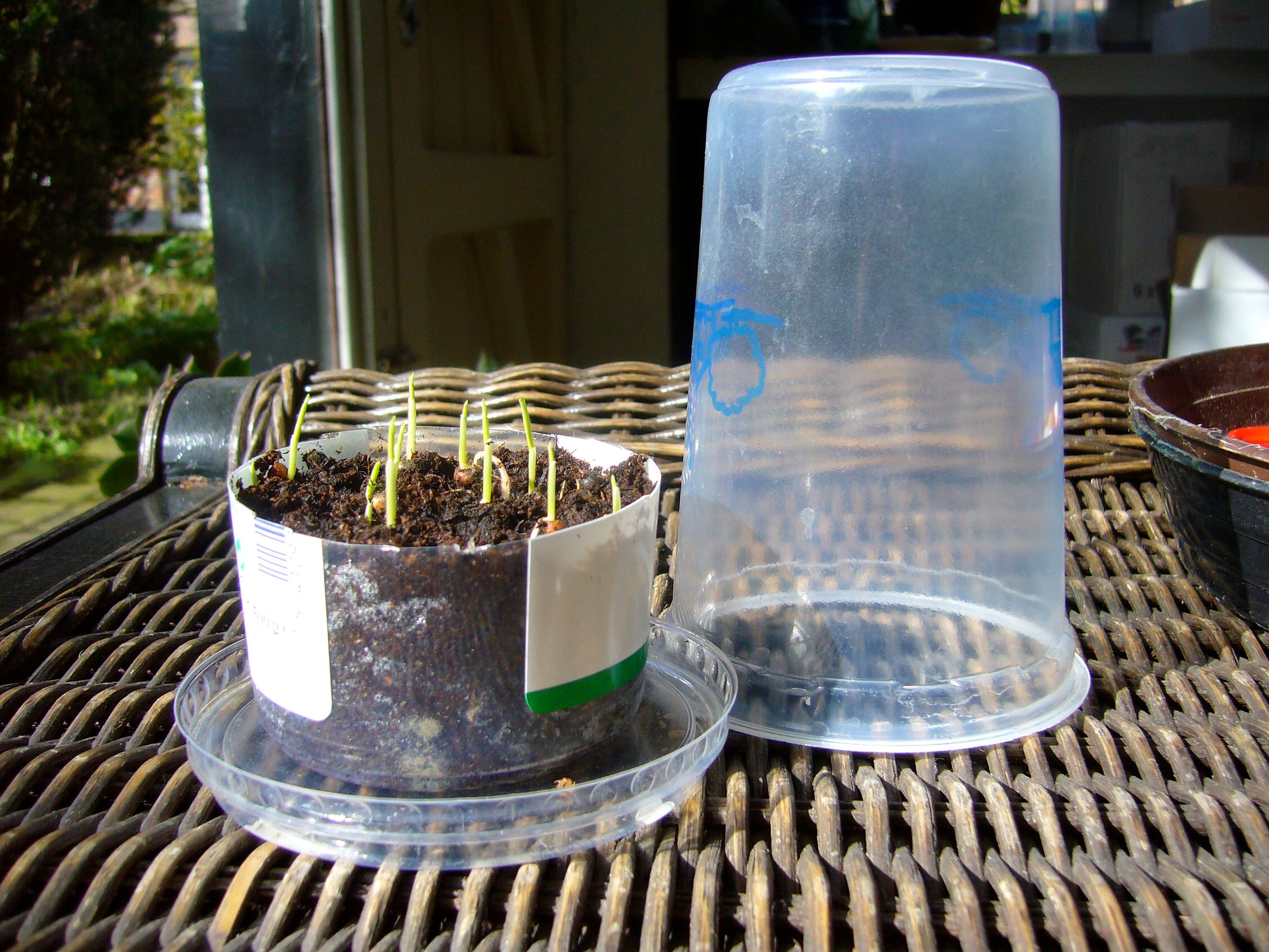 More Containers for Gardening