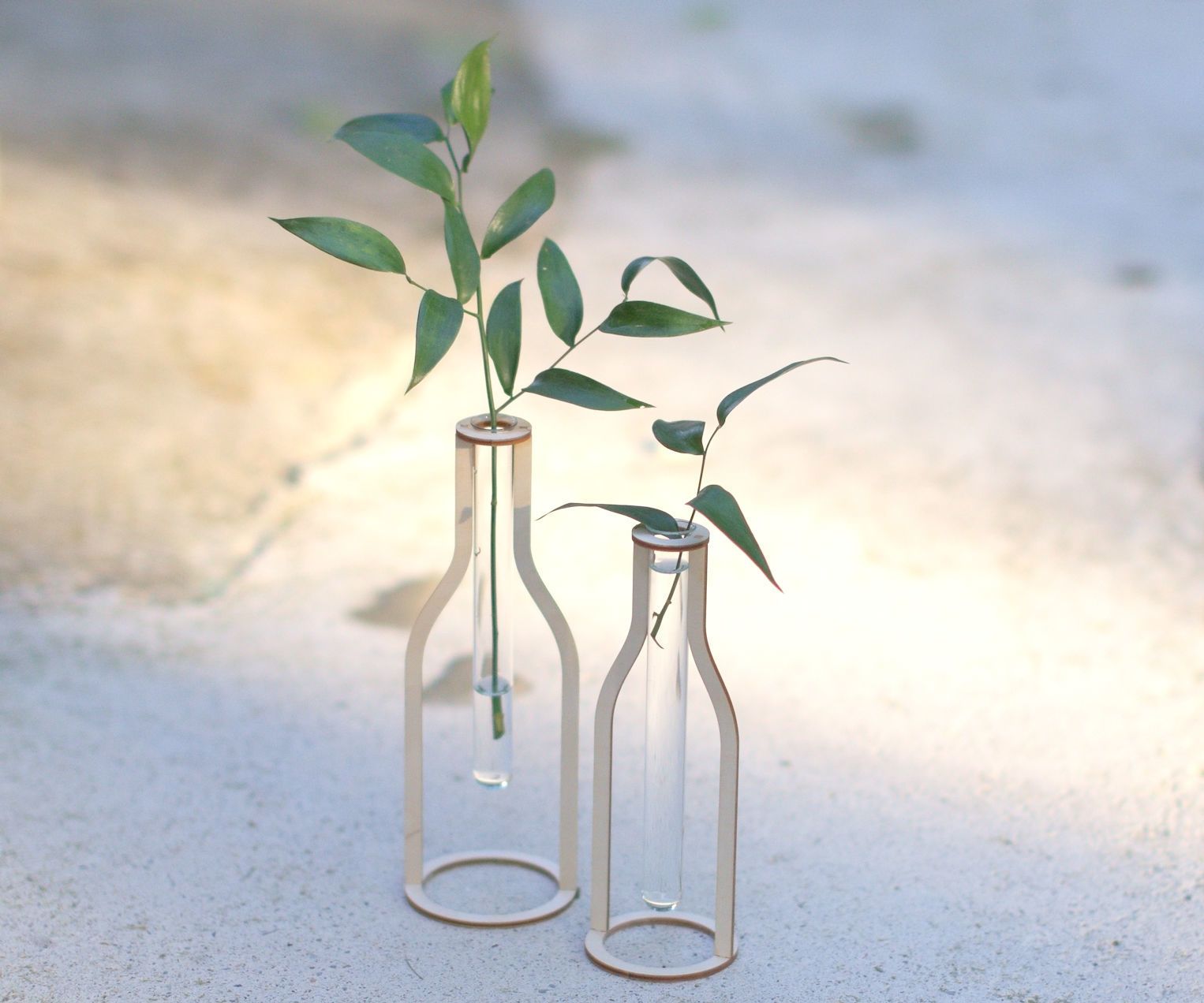 Wooden Silhouette Test Tube Vases