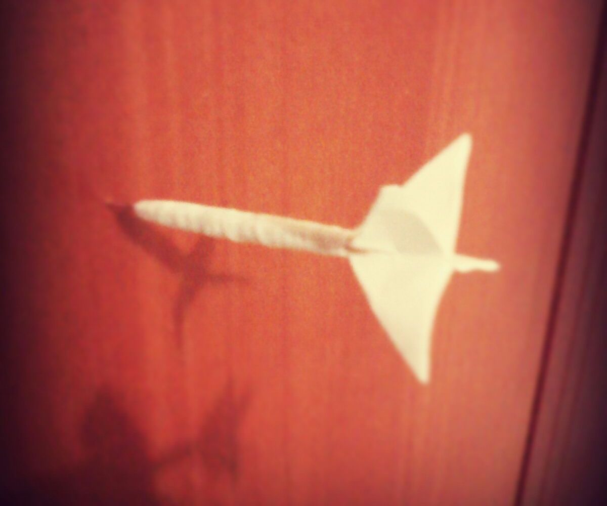 Homemade Darts