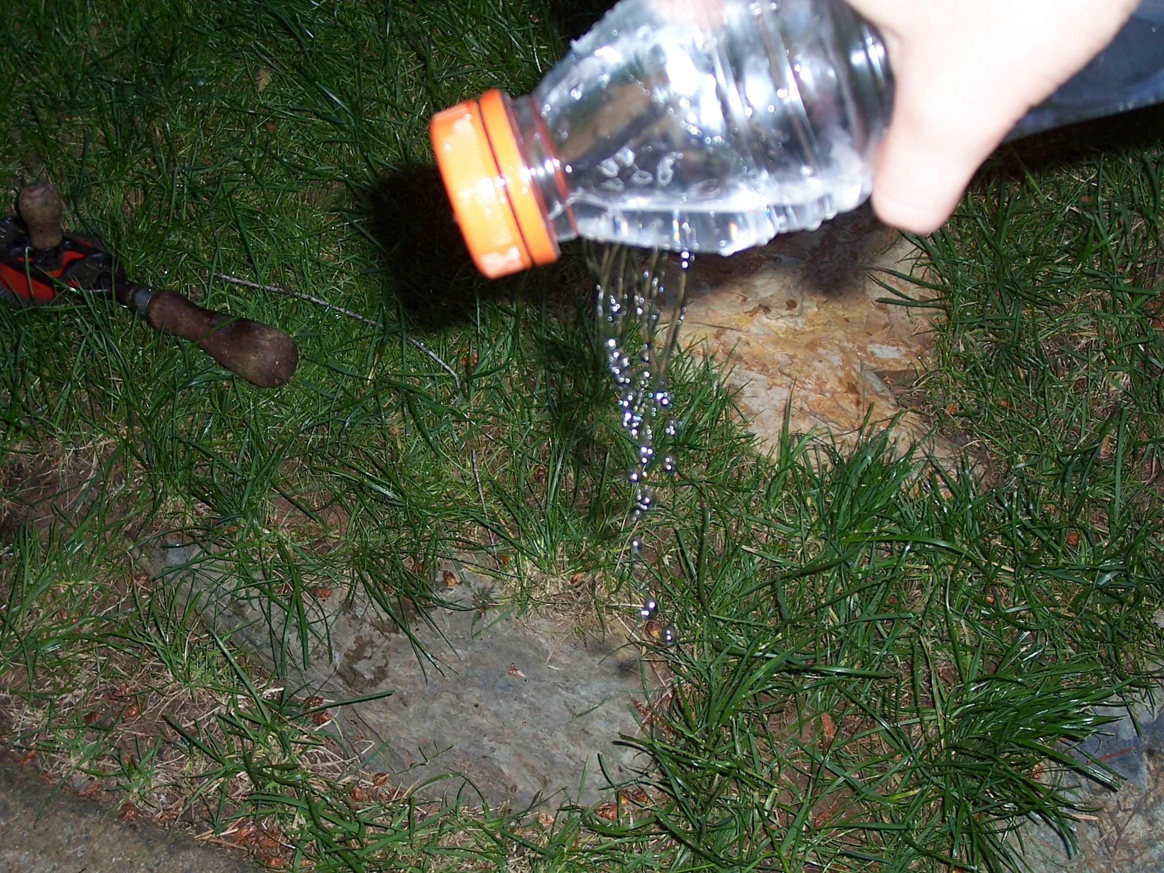 Water Bottle Spout