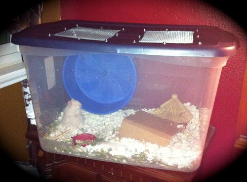 Hamster "Bin Cage" Tutorial