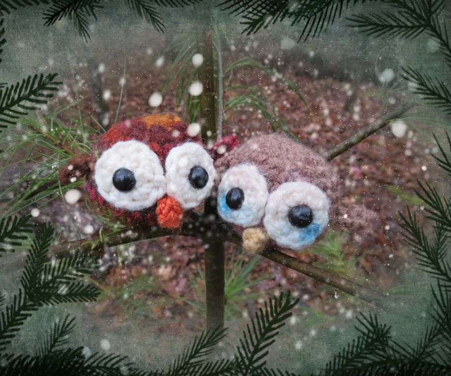 HOO Ever Made Such a Cute Owl