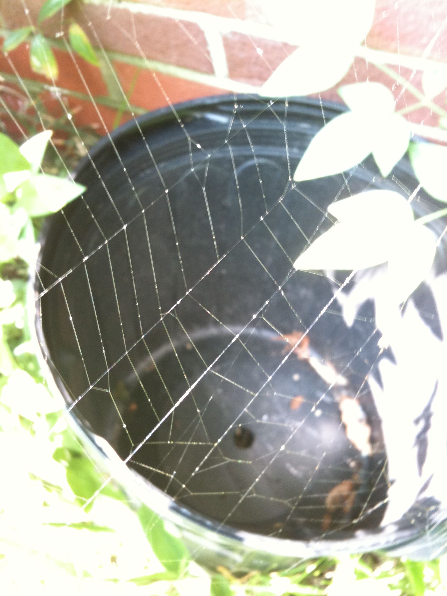 How to Make Spider Silk Thread 8 Steps (with Pictures) Instructables