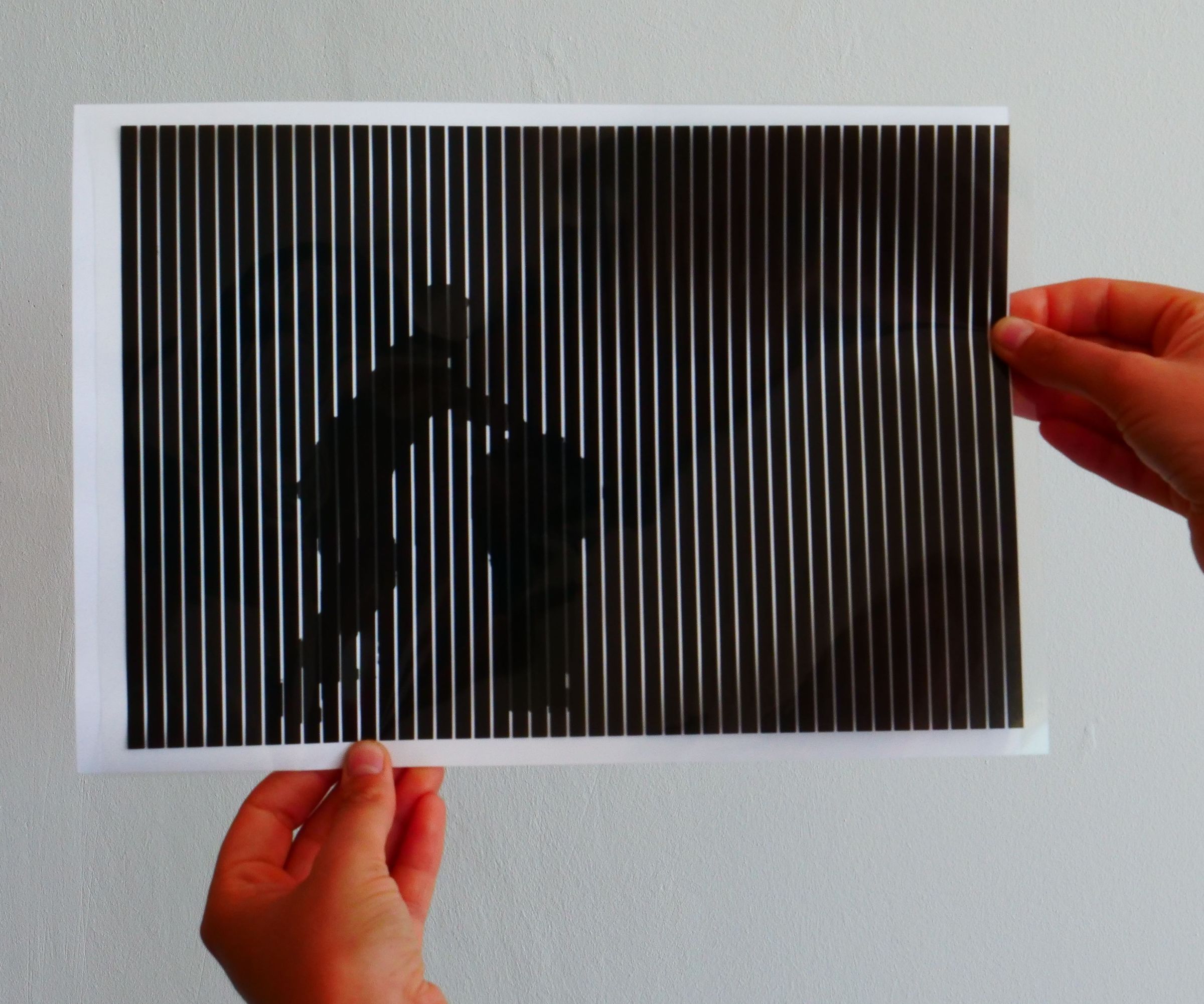 Maak Een Kinegram of Analoge Boomerang (Nederlands/Dutch)