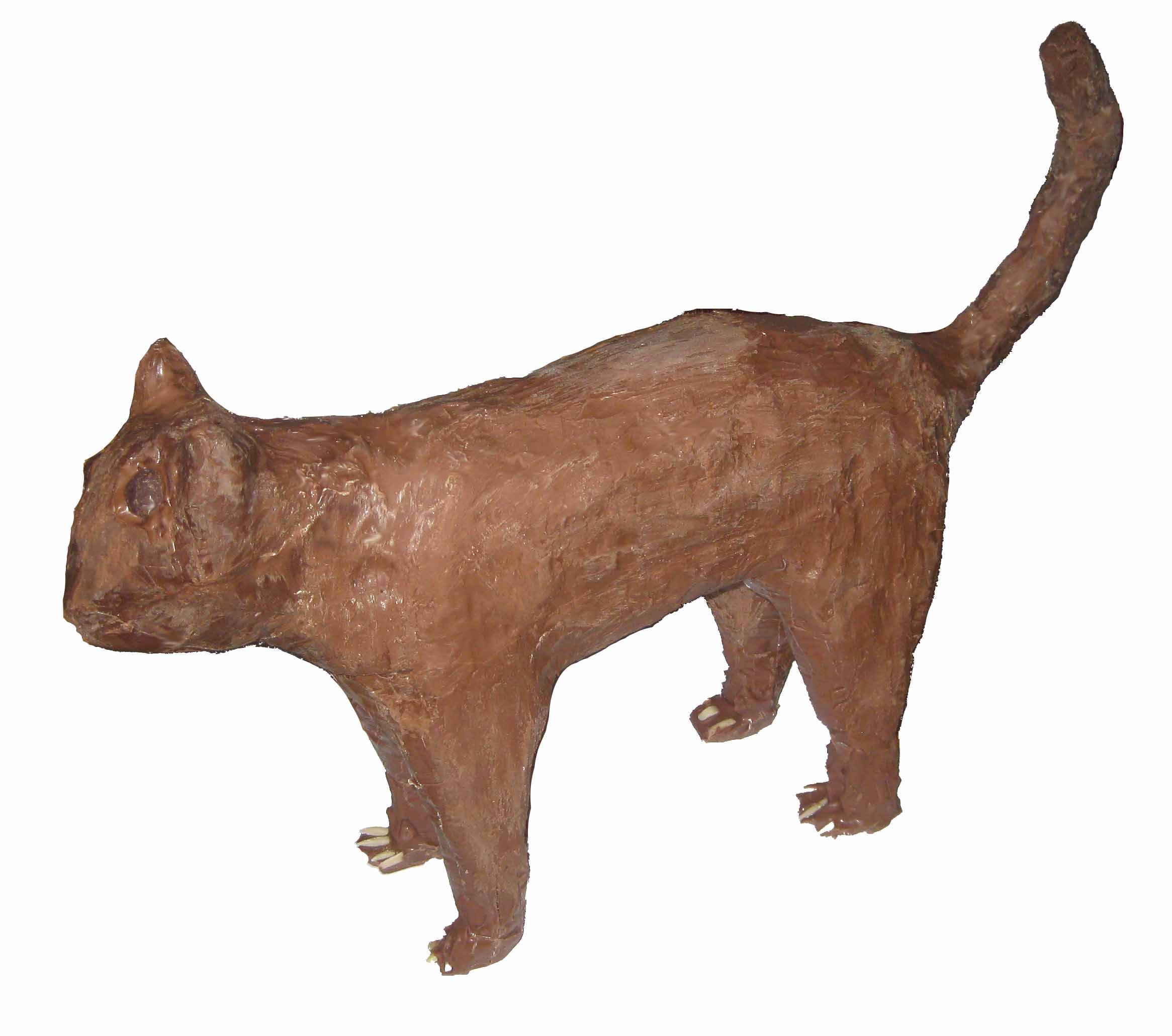 Chocolate Cat