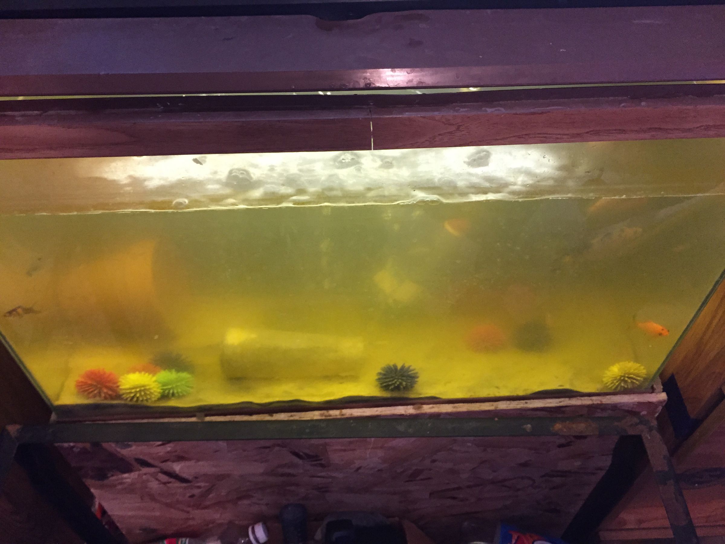 White Trash Aquarium Collection