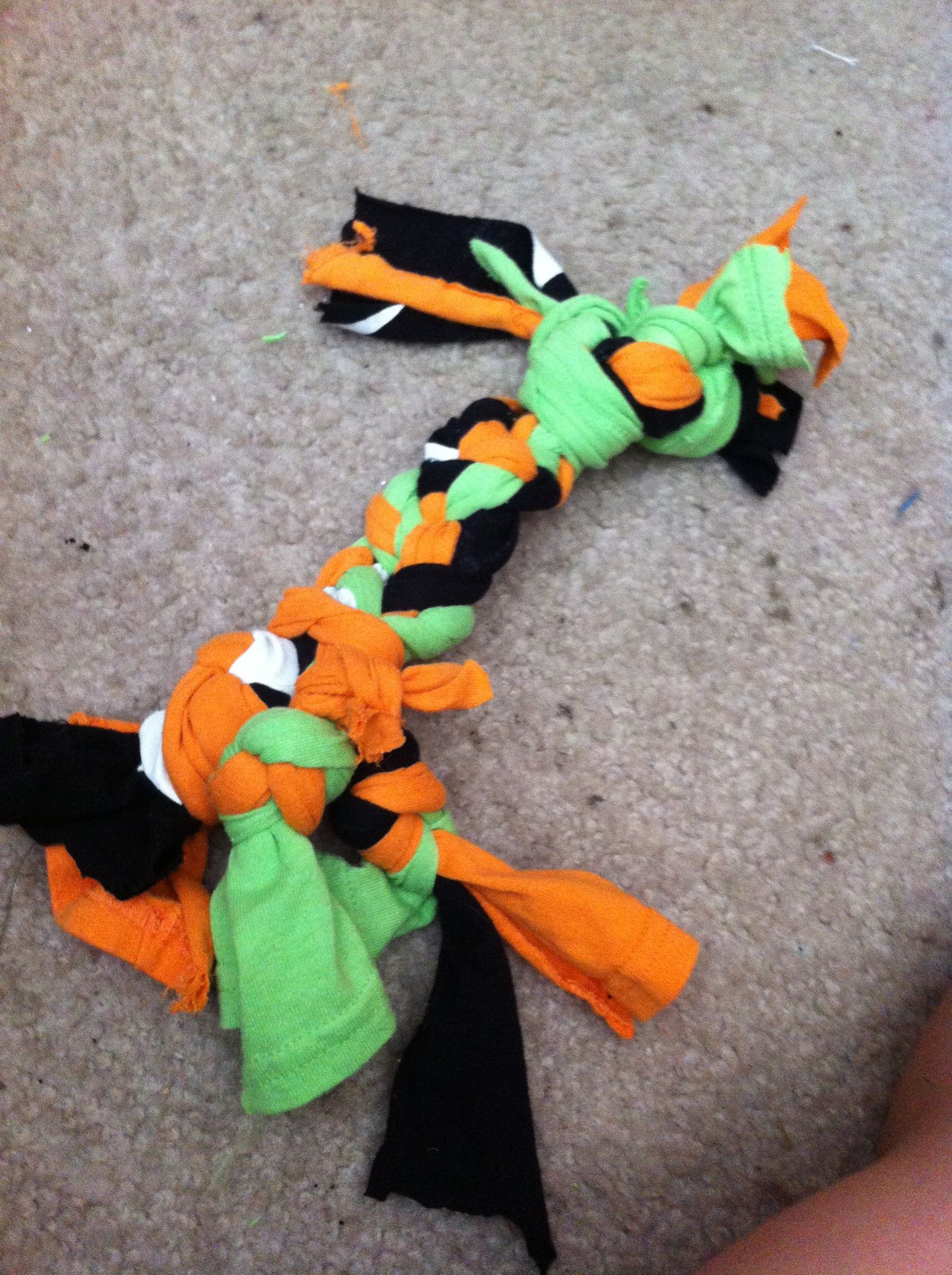 Pet Toys 8 Steps Instructables
