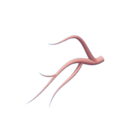 download {{ file.name }}