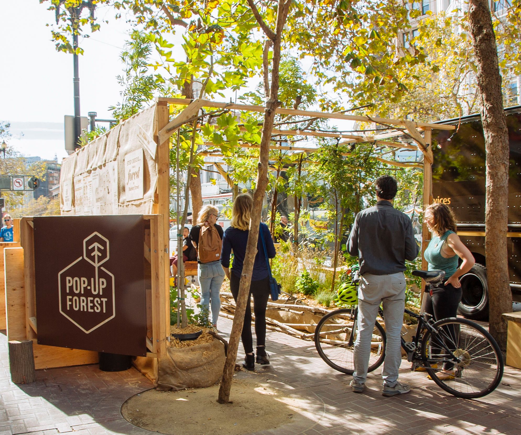 How to Create a Pop-Up Forest!