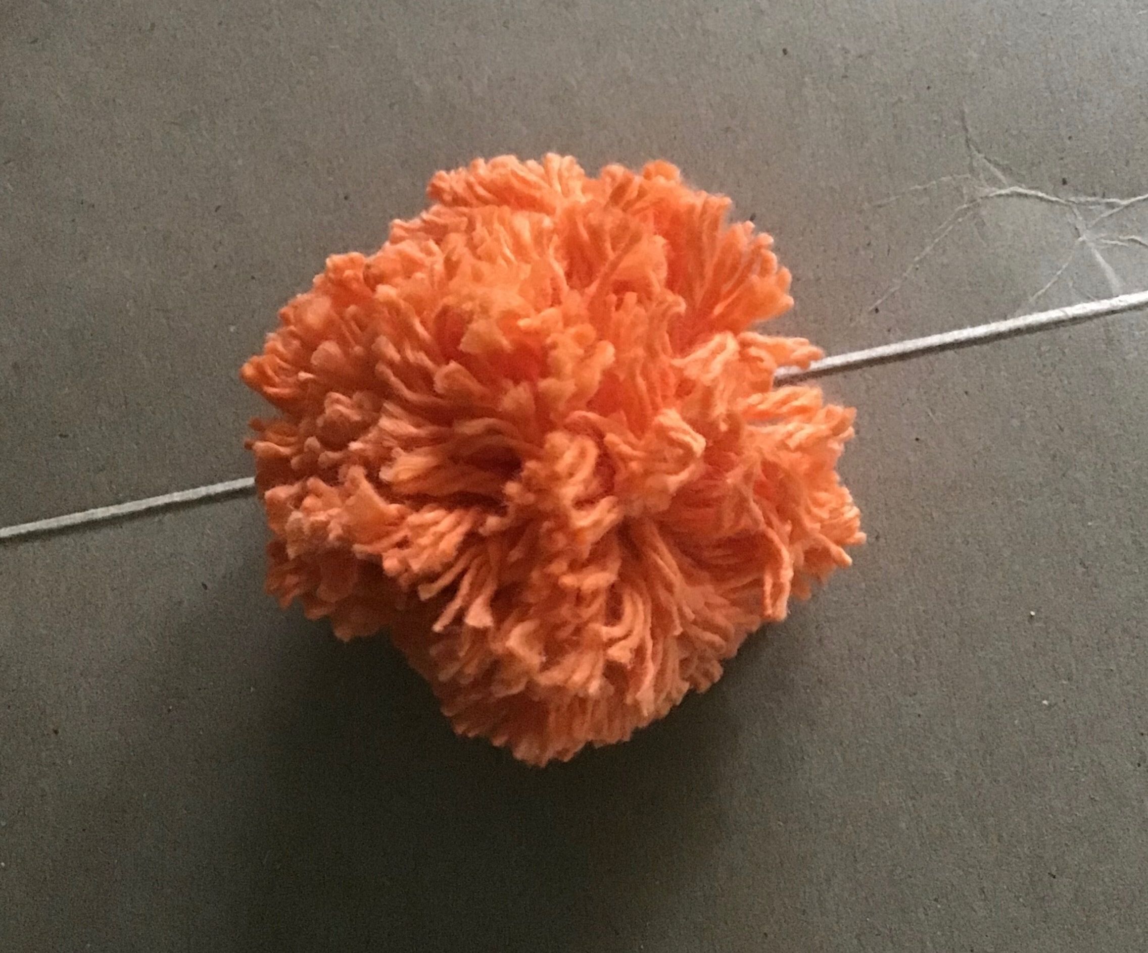 Pom Poms 