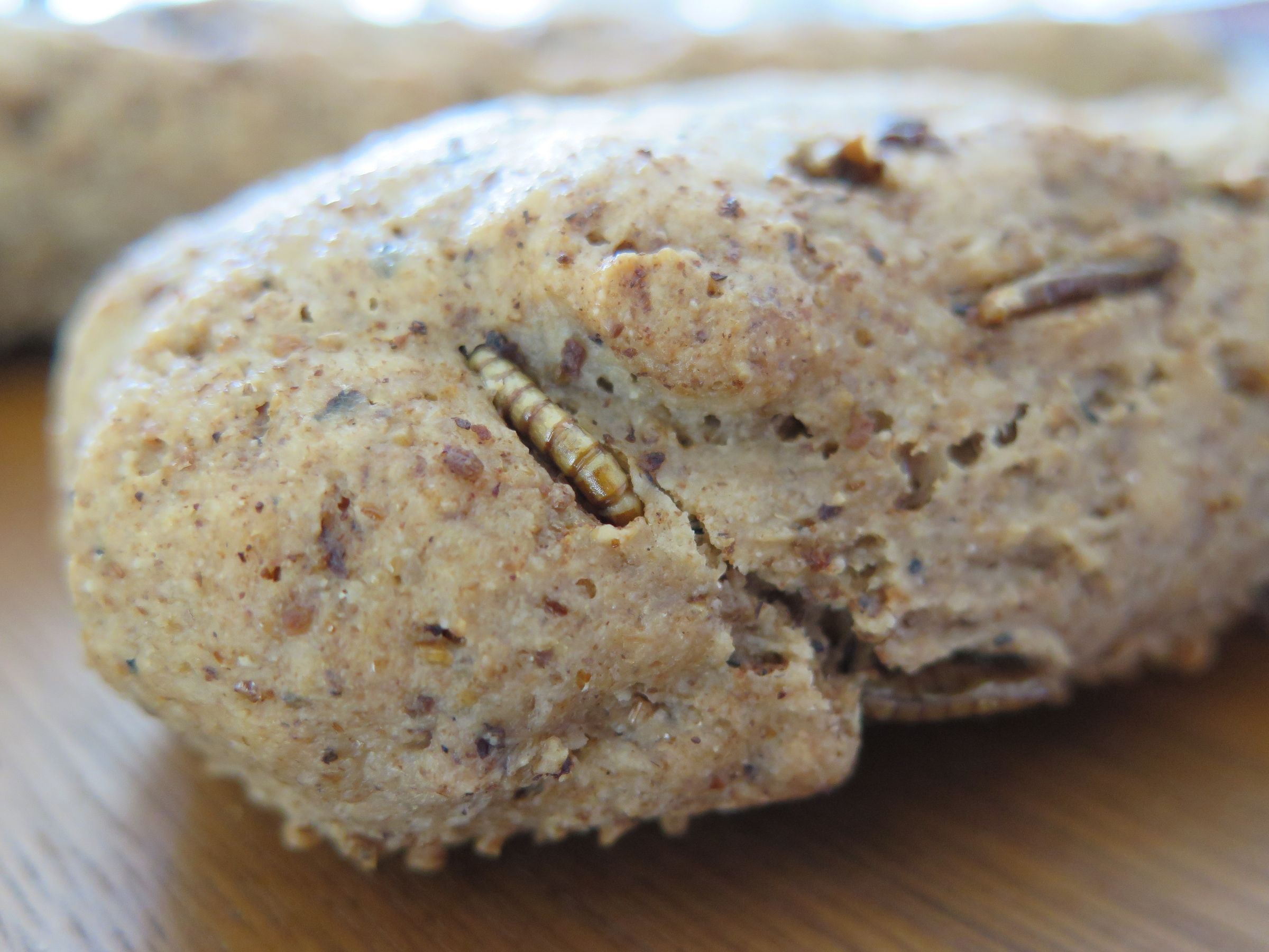 Mealworm French Bread.. Gluten Free 12 Steps (with Pictures