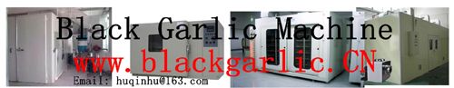 Black Garlic (fermenter)