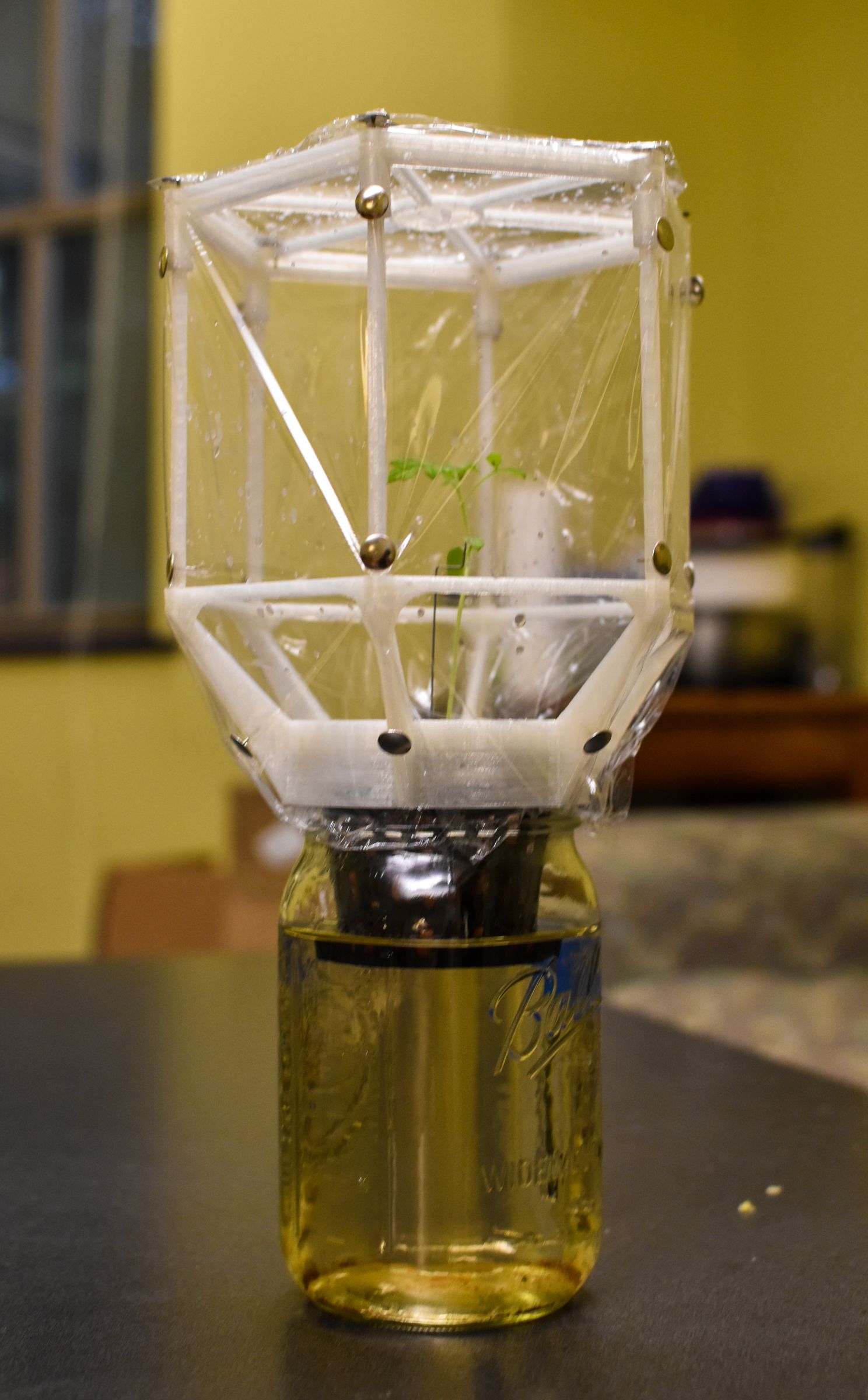 Expandable Mason Jar Greenhouse 7 Steps (with Pictures) Instructables