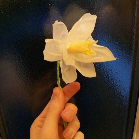 Finishing Off and Notes