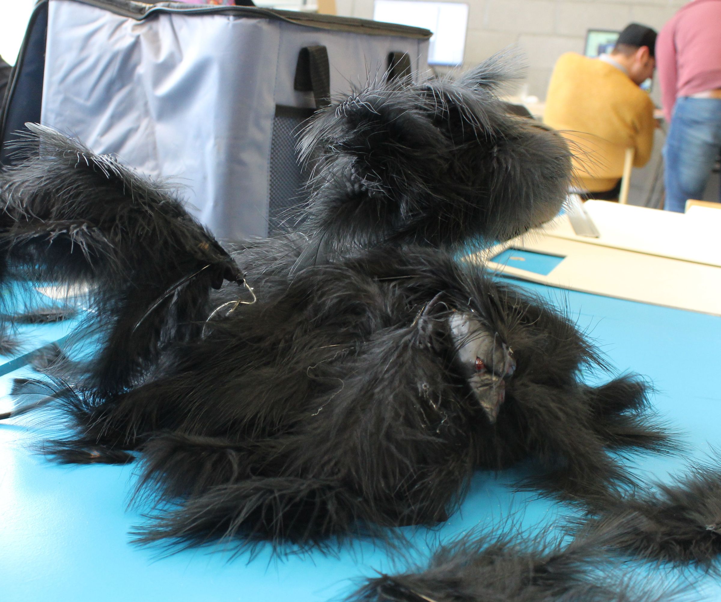 The Spastic Scarecrow