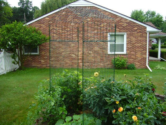 Building a Trellis-arch for the Garden