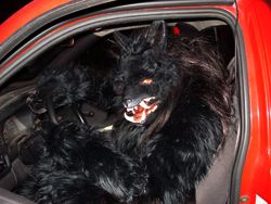 Werewolf costume