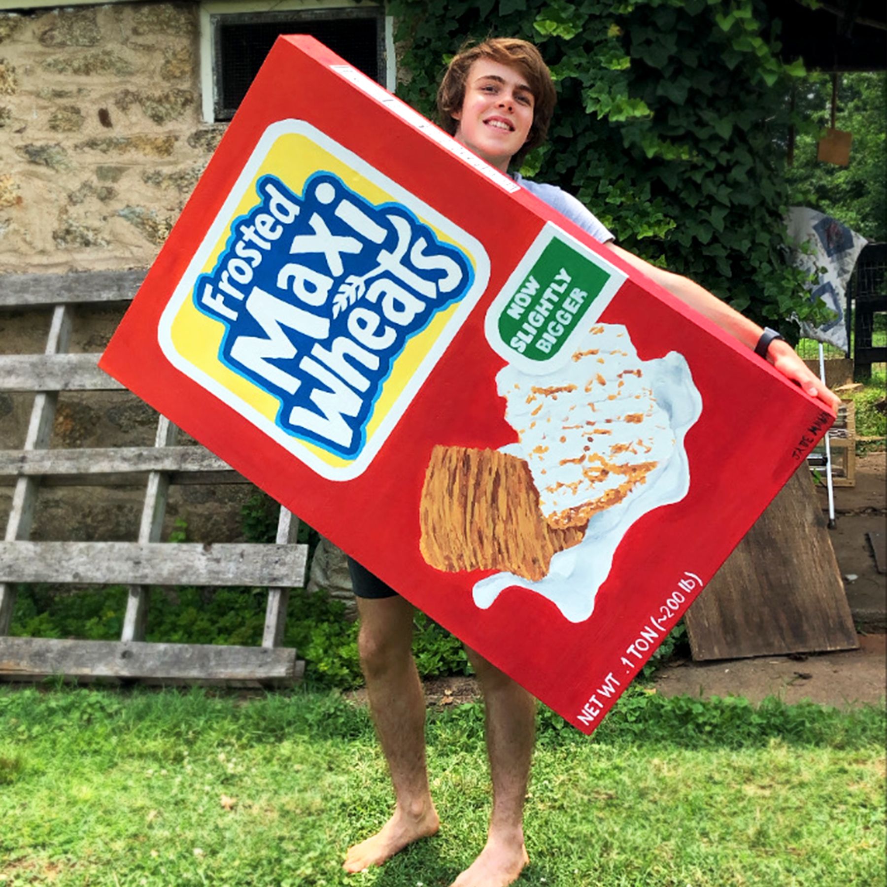 Giant Cereal Box/Secret Shelf 16 Steps (with Pictures) Instructables