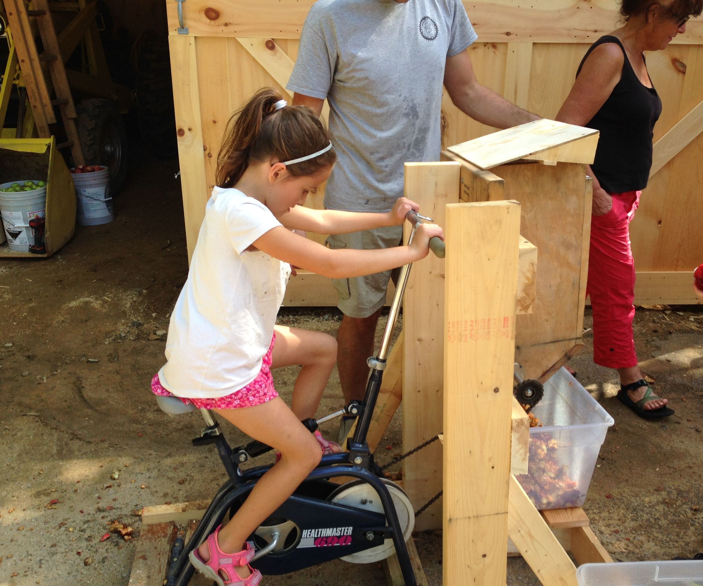 Apple Press and Apple Grinder - on the Cheap